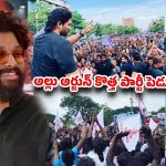 ఐకాన్ స్టార్ టార్గెట్ 2034? .. అల్లు అర్జున్ పొలిటికల్ ఎంట్రీపై అసలు నిజమిదే!