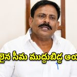 చంద్రబాబుతోనే సీమ అభివృద్ధి.. ఎక్కడ అన్యాయం జరిగినా ఊరుకోం- బైరెడ్డి రాజశేఖర్ రెడ్డి