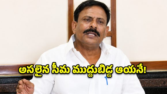 చంద్రబాబుతోనే సీమ అభివృద్ధి.. ఎక్కడ అన్యాయం జరిగినా ఊరుకోం- బైరెడ్డి రాజశేఖర్ రెడ్డి