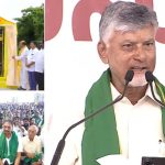 పవన్ కల్యాణ్ ఫ్యామిలీ.. ఆపై సోషల్ మీడియా అసభ్యకర పోస్టులు, సీఎం చంద్రబాబు కీలక వ్యాఖ్యలు