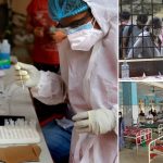 Covid Cases: దేశంలో వణిస్తున్న కొవిడ్ కేసులు.. ఏపీలో నలుగురు మృతి, రాయలసీమలో ఎక్కువ కేసులు