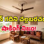 ఫ్యాన్ వేస్తే గది చల్లబడుతుందా? మనమంతా నమ్మే ఈ అబద్ధం వెనుకున్న అసలు నిజమిదే!