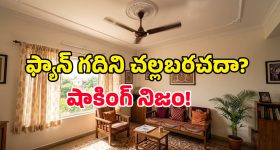 ఫ్యాన్ వేస్తే గది చల్లబడుతుందా? మనమంతా నమ్మే ఈ అబద్ధం వెనుకున్న అసలు నిజమిదే!