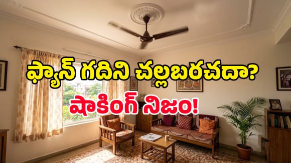 ఫ్యాన్ వేస్తే గది చల్లబడుతుందా? మనమంతా నమ్మే ఈ అబద్ధం వెనుకున్న అసలు నిజమిదే!