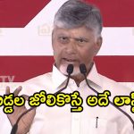 ‘గొడ్డలి పార్టీ’ని తరిమికొట్టండి.. నెల్లూరు వేదికగా చంద్రబాబు సంచలన వ్యాఖ్యలు!