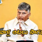 మమ్మల్ని తిట్టే సోషల్ మీడియా గ్రూపులకు ‘గొడ్డలి పార్టీ’ ఫండింగ్.. చంద్రబాబు సంచలనం!