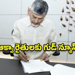 ఆక్వా కల్చర్‌ను ఆదుకోండి.. ముగ్గురు కేంద్ర మంత్రులకు సీఎం చంద్రబాబు లేఖలు!