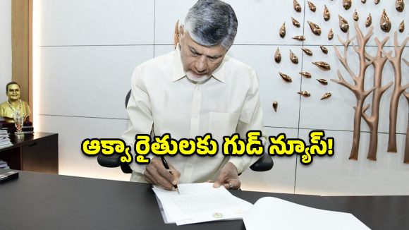ఆక్వా కల్చర్‌ను ఆదుకోండి.. ముగ్గురు కేంద్ర మంత్రులకు సీఎం చంద్రబాబు లేఖలు!