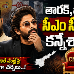 తారక్ ,బన్నీలు సీఎం సీటుపై కన్నేశారా ? ఏపీలో సరికొత్త ‘పొలిటికల్ మల్టీస్టారర్’!