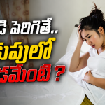 ఒత్తిడి పెరిగితే కడుపులో తిప్పడమేంటి ?స్ట్రెస్, గట్ హెల్త్ సీక్రెట్స్ ఇవే!