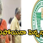 చేయూత పెన్షన్ల ప్రక్షాళన.. 3 లక్షల మందికి కొత్త పెన్షన్లు!