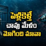 ఇదెక్కడి ఉన్మాదంరా అయ్యా… పెళ్ళాన్ని చంపిందని షార్క్ పై పగబట్టే సైకో
