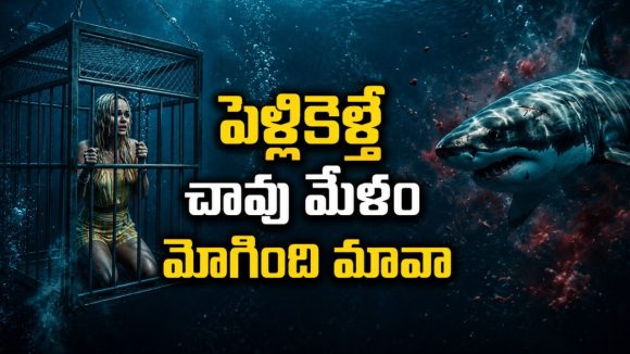 ఇదెక్కడి ఉన్మాదంరా అయ్యా… పెళ్ళాన్ని చంపిందని షార్క్ పై పగబట్టే సైకో