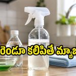వైట్ వెనిగర్, డిష్‌వాష్ లిక్విడ్ కలిపి వాడితే.. అద్భుతమైన ఫలితాలు చూస్తారు!