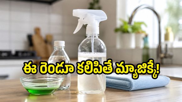 వైట్ వెనిగర్, డిష్‌వాష్ లిక్విడ్ కలిపి వాడితే.. అద్భుతమైన ఫలితాలు చూస్తారు!