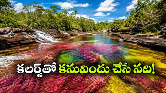 రంగుల నది.. విభిన్న వర్ణాలతో స్వర్గాన్ని తలపించే ఈ ప్రాంతం ఎక్కడుందంటే?