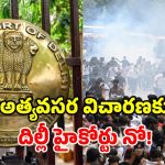 మమ్మల్ని లాగొద్దు.. తక్షణమే విచారించలేం.. బొద్దింకలకు దిల్లీ హైకోర్టు ఝలక్!