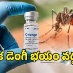 డెంగీ భయానికి ఎండ్ కార్డ్ పడింది.. భారత్‌లోకి వచ్చేసిన ఫస్ట్ వ్యాక్సిన్!