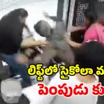 లిఫ్టులో పెంపుడు కుక్క బీభత్సం.. హడలిపోయిన బాలికలు.. వీడియో వైరల్!