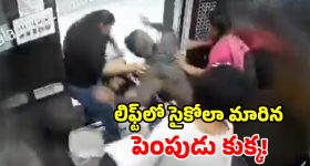 ఆలుగడ్డలు 5 నెలల పాటు తాజాగా ఉండాలా? అయితే ఆ ప్రదేశంలో పెట్టండి!