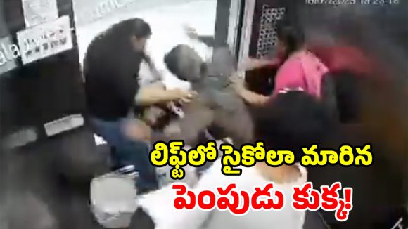 లిఫ్టులో పెంపుడు కుక్క బీభత్సం.. హడలిపోయిన బాలికలు.. వీడియో వైరల్!