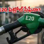 మీ బైక్‌లో E20 పెట్రోల్ కొట్టిస్తున్నారా? ఈ నిజాలు ప్రతి ఒక్కరూ తెలుసుకోవాల్సిందే!