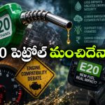 మీ పాత కారులో E20 పెట్రోల్ కొట్టిస్తున్నారా? ARAI రిపోర్ట్ ఏం చెప్పిందంటే?