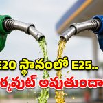 మరో పిడుగు.. E20 స్థానంలో E25 ఇంధనం, ధర తగ్గుతాది ఒకే.. మరి ఆ డ్యామేజ్?