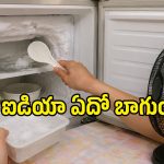 ఫ్రిడ్జ్ డీఫ్రాస్ట్ చేయడానికి టెక్నీషియన్లు చెప్పే బెస్ట్ చిట్కా.. కరెంట్ బిల్లు కూడా తగ్గుతుంది!