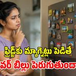 ఫ్రిడ్జ్ డోర్‌పై అయస్కాంతాలు.. కరెంట్ బిల్లుపై పడే ప్రభావం ఎంత? నిజానిజాలివే!