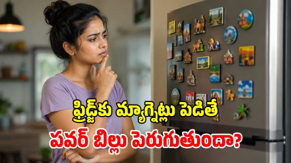 ఫ్రిడ్జ్ డోర్‌పై అయస్కాంతాలు.. కరెంట్ బిల్లుపై పడే ప్రభావం ఎంత? నిజానిజాలివే!