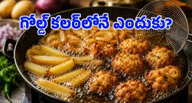 ఎల్లంపేట్‌లో అక్రమ నిర్మాణాలు.. ఇళ్ల అనుమతులతో కమర్షియల్ షట్టర్లు!