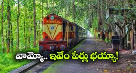 ఈ రైల్వే స్టేషన్ల పేర్లు వింటే నవ్వు ఆపుకోలేరు.. ఇంతకీ అవేంటో తెలుసా?