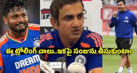మీ పాత కారులో E20 పెట్రోల్ కొట్టిస్తున్నారా? ARAI రిపోర్ట్ ఏం చెప్పిందంటే?