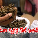 ఇచ్ఛాపురంలో భారీగా గంజాయి స్వాధీనం.. ఒడిశా ముఠా అరెస్ట్!