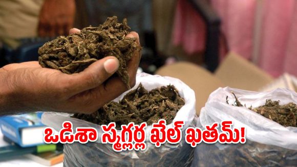 ఇచ్ఛాపురంలో భారీగా గంజాయి స్వాధీనం.. ఒడిశా ముఠా అరెస్ట్!