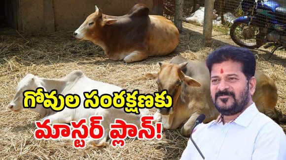 త్వరలోనే తెలంగాణలో ‘గోశాల పాలసీ’.. సీఎం రేవంత్ రెడ్డి కీలక నిర్ణయం!