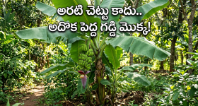టీటీడీ బోర్డు సంచలన నిర్ణయాలు.. సామాన్య భక్తులకు గుడ్ న్యూస్.. దాతల దర్శనాల్లో కీలక మార్పులు!
