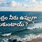 సముద్రంలోకి అంత ఉప్పు ఎక్కడి నుంచి వచ్చింది? దీని వెనక ఉన్న సైన్స్ ఇదే!