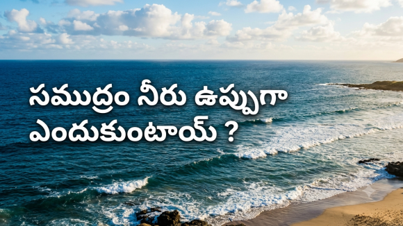 సముద్రంలోకి అంత ఉప్పు ఎక్కడి నుంచి వచ్చింది? దీని వెనక ఉన్న సైన్స్ ఇదే!