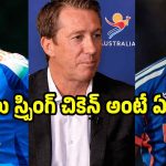బుమ్రా స్ప్రింగ్ చికెన్ లాంటోడు…అత‌నికి ప్రసిద్ కృష్ణ స‌రైన జోడి