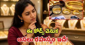 మనం పొత్తులో ఉన్నాం.. అన్ని పదవులు ఒకేసారి అడగలేం-మంత్రి నాదెండ్ల