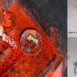 Hanuman Idol: తిరుమల హనుమాన్ విగ్రహం చోరీ కేసులో బిగ్ ట్విస్ట్ .. నిందితుడు అరెస్ట్!