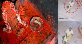 ఫ్రీ ఫ్రీ.. దుబాయ్‌లో హోటల్ స్టే, డిన్నర్, ట్రావెల్ అన్నీ ఉచితం.. ప్రభుత్వం కొత్త ఆఫర్