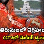 Hanuman Idol: ఏపీలో దేవుడికే రక్షణ లేదు.. చంద్రబాబుపై విరుచుకుపడ్డ యాంకర్ శ్యామల!