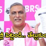 రంకెలతో అంకెలు మారవు.. ఏ చర్చకైనా సిద్ధం.. హరీశ్ రావు సవాల్!