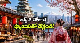 భార్య ఎక్కువ సంపాదిస్తే సంబంధాలపై ప్రభావం ఉంటుందా? తాజా అధ్యయనంలో తేలింది ఇదే