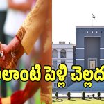 Hindu Marriage: రిజిస్ట్రేషన్ మ్యారేజ్ చేసుకున్నంత మాత్రాన పెళ్లి కాదు.. హైకోర్టు సంచలన తీర్పు!