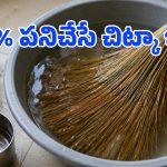 చీపురను ఉప్పు నీటిలో నానబెడితే.. ఆ సమస్యలన్నీ మాయం, నెట్టింట వైరల్ అవుతున్న క్రేజీ ట్రిక్!