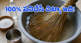 ఆకలితో కాదు.. మొసళ్లు రాళ్లను మింగడం వెనుక ఇంత పెద్ద ప్లాన్ ఉందా? అసలు కారణం ఇదే!